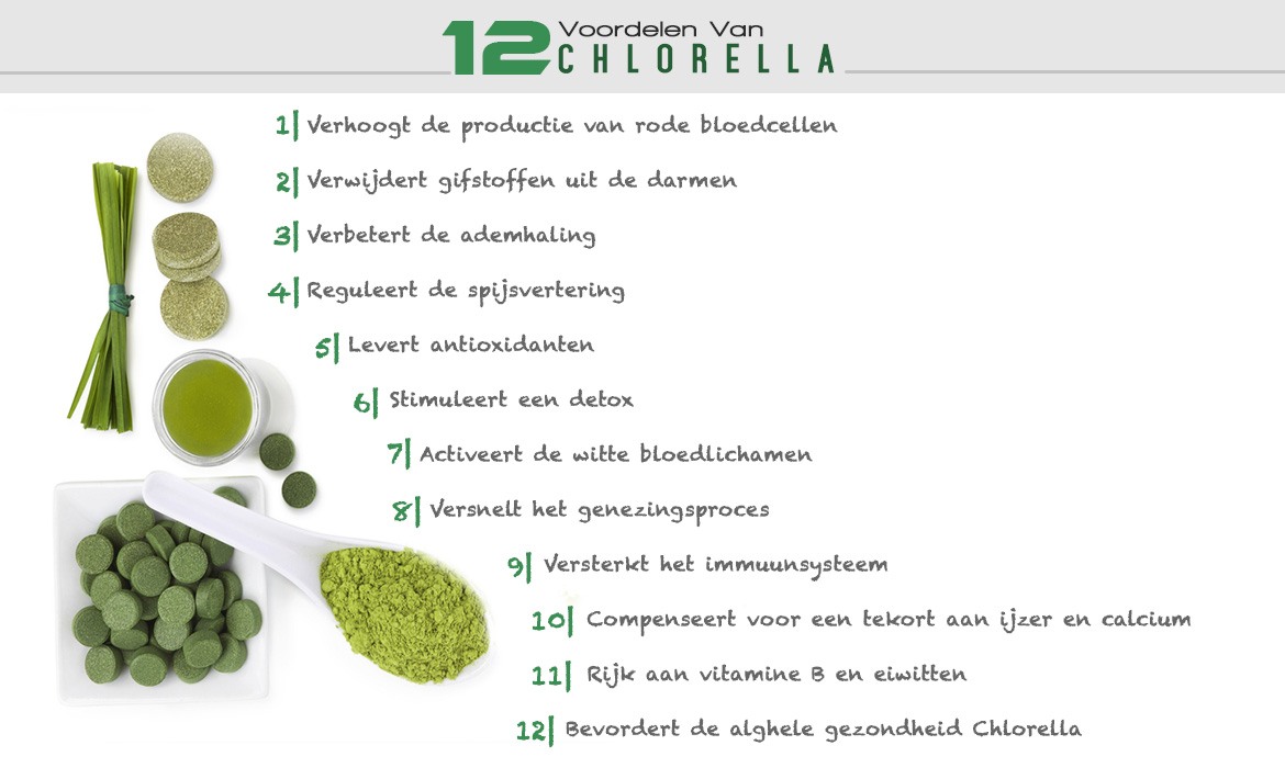viel Portiek wond Chlorella | Natuurlijke poeder supplementen | WeightWorld